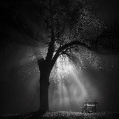 Isn’t Real Love Strange?