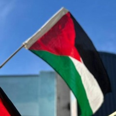 Gaza - does history matter?
