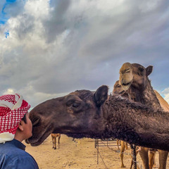 يااهل الصفر استعدو جايكم نجم سماوي🔥