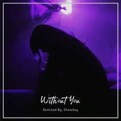 Without You (Shadmehr Ft Mahyar, Amir Khalvat , Hannah)