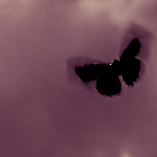 Best Song (my opinion)