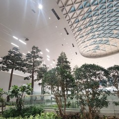 Pyeongtaek86