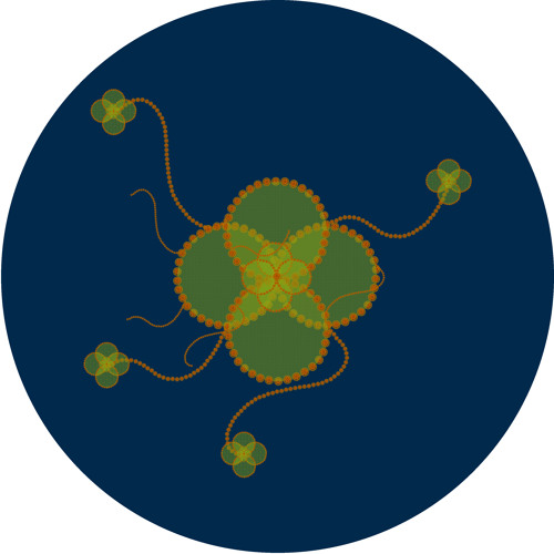 DJ Uijui - Every [Cold Blow Records]