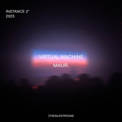 virtual machine (instance 2)