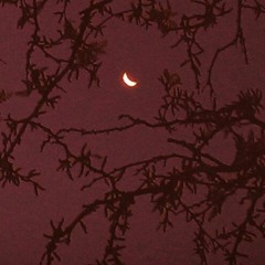 чувствуй меня ///