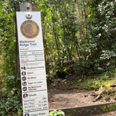 Waikamoi