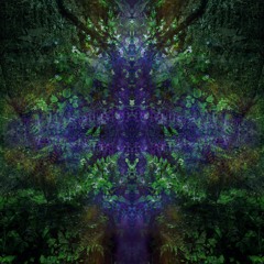 Psy Trance etc Sets 1 - psychedelic shaman etno chill forest suomisaundi