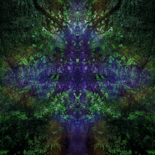 Psy Trance etc Sets 1 - psychedelic shaman etno chill forest suomisaundi