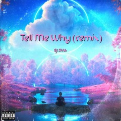 DJ sl4sh - Tell me why (remix)