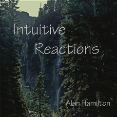 Intuitive Reactions