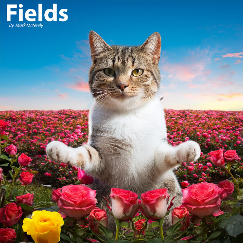Fields