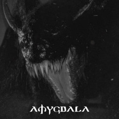 AMYGDALA | BOOM BAP
