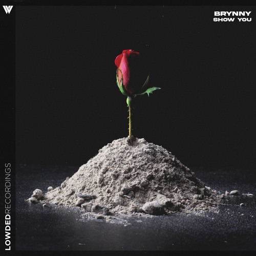 Brynny - Show You