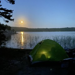 Svart sommar remix
