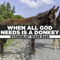 Evangelist Wade Bass - 2020.09.16 Wed PM - When All God Needs Is A Donkey