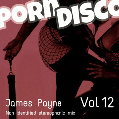 Porn Disco Vol 12 - James Payne