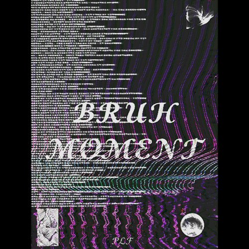 Bruh Moment