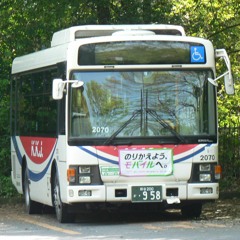 キツネヅカキツネヅカ