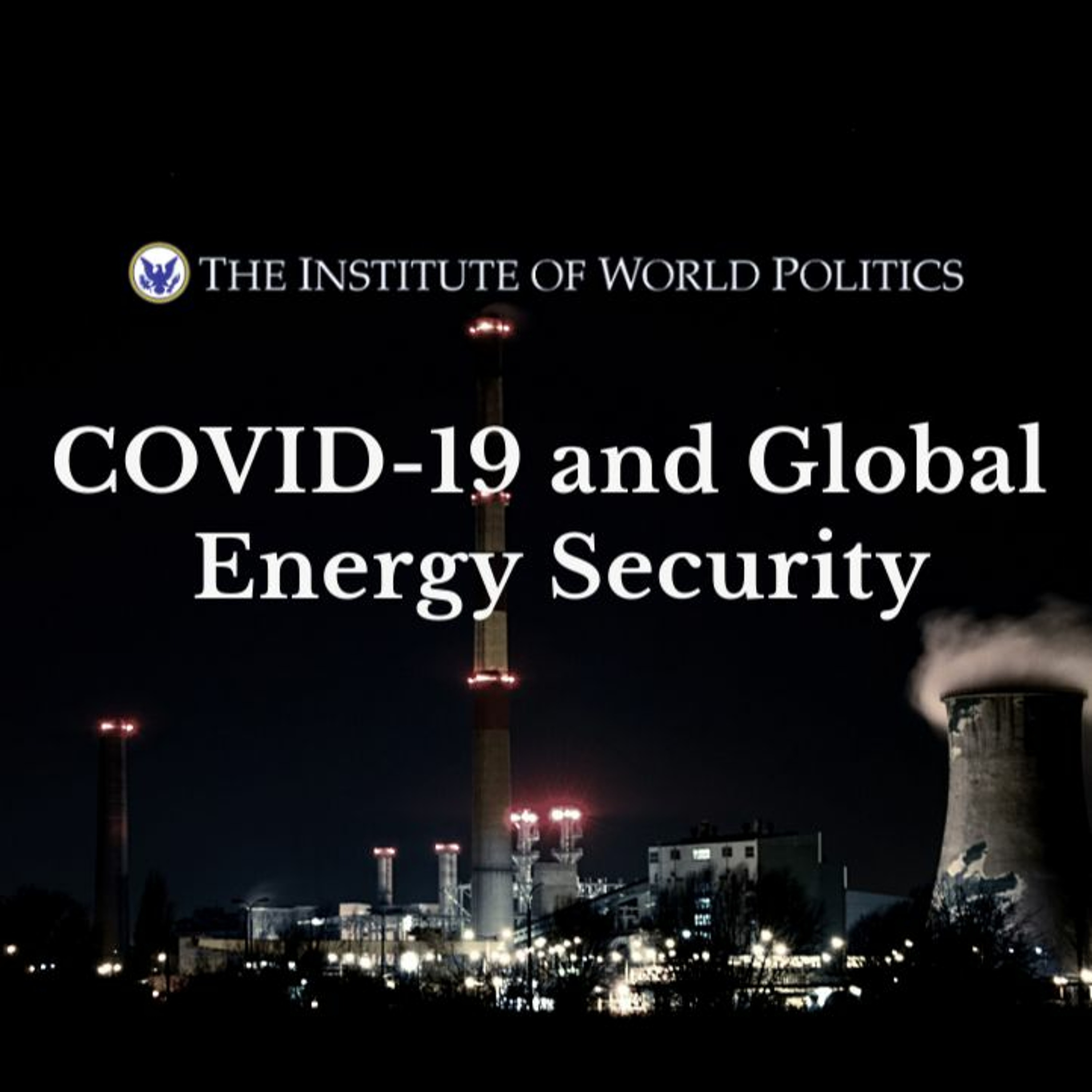 The Institute of World Politics