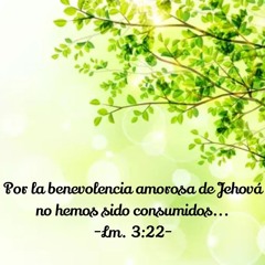Por Tu benevolencia - Basado en Lm. 3:22-23, Ex. 16:21, Jer. 15:16, Sal. 119:25 y Sal. 90:14