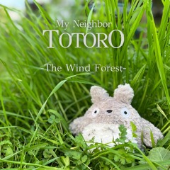 The Wind Forest - (From My Neighbor Totoro)