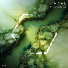 Nawl - Nocturnal Squall [MLF019] Snippets