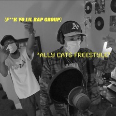 Ally Cats Freestyle
