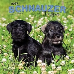 ^Pdf^ Schnauzer Puppies | 2023 12 x 24 Inch Monthly Square Wall Calendar | BrownTrout | Animals