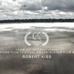 Score The World - Amazonia Documentary Music Contest