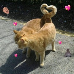 u+me