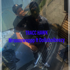 TRACC HAWK FT DOLLABOIIBEEZY