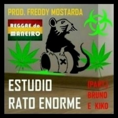 Estúdio Rato Enorme - Reggae Maneiro (Acústico na Praça Brasil) [Prod. Ricardo Freddy Mostarda]