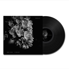 [VRVNL010] John Plaza - Circular (Previews)