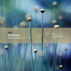 Pyramidal Decode - Assonanza
