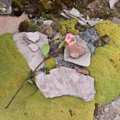 Living in the Now- Simple Ways to Be Present in your life