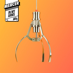 MERCER - In My Arms (Original Mix)