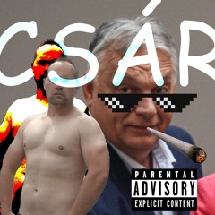 NINCS FÉK/FAKE - CSÁR LICSEPLIN