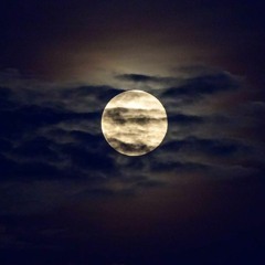 Draid - Moon