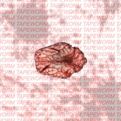 TAPEWORM [official version]