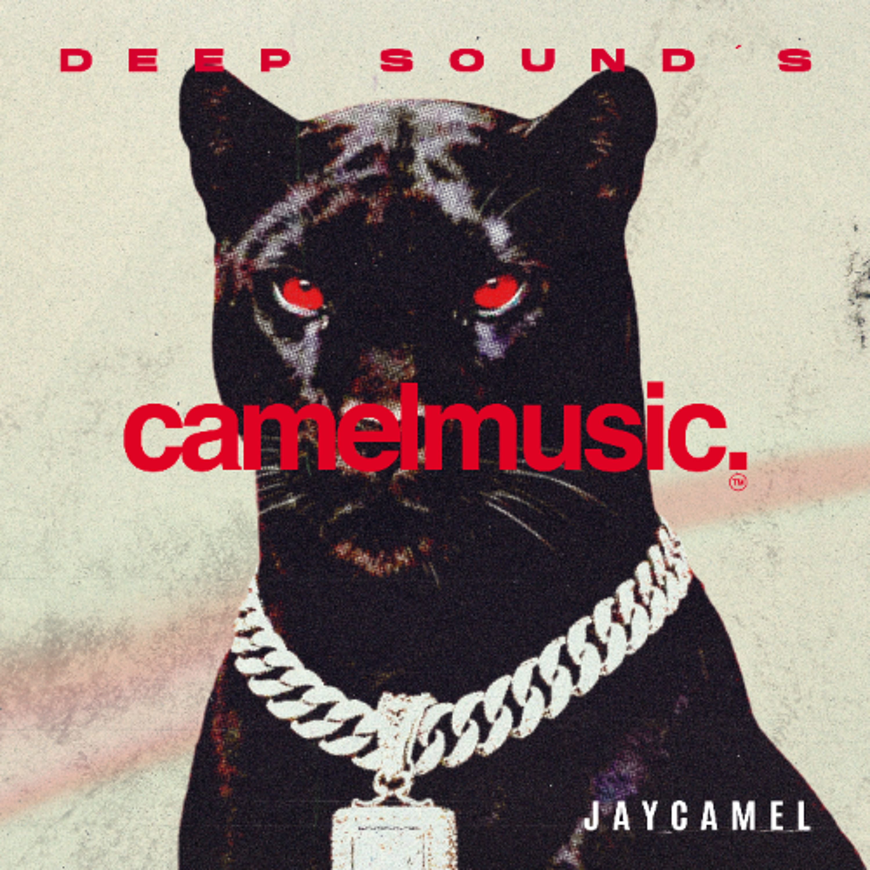 JayCamel - When I Play this Record