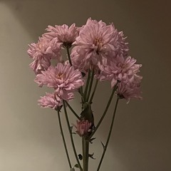 emily’s song — Daniel Caesar (cover)