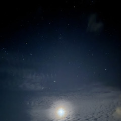 𝐬𝐞𝐤𝐢.𝐜 𝐫𝐦𝐱