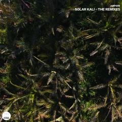 AMP099 - Andrea Della Valle - Solar Kali (Odagled Remix)