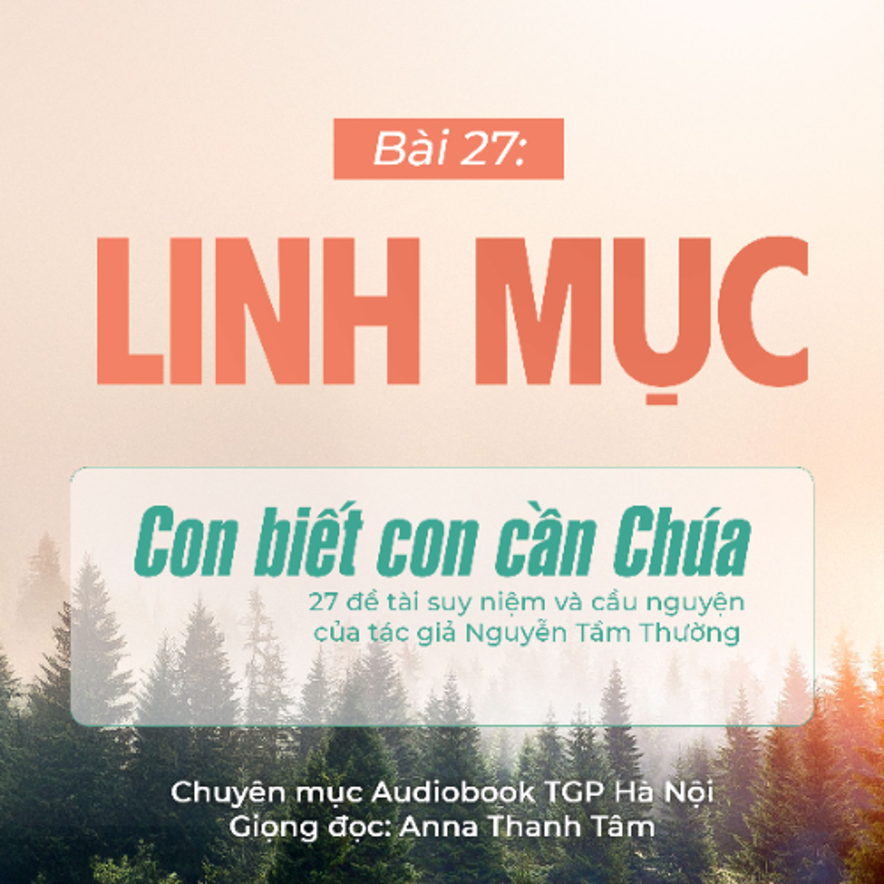 #27 Linh mục || Con biết con cần Chúa || Tác giả Nguyễn Tầm Thường