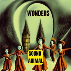 Wonders
