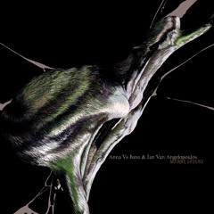 Anna Vs June and Jan Van Angelopoulos - Mutable Ground LP (SOO04) [Snippets]