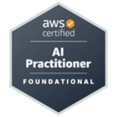 AWS AI Practitioner-Domain5