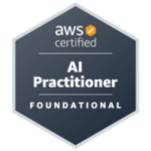 AWS AI Practitioner-Domain3