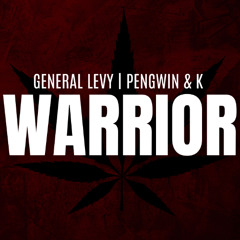 General Levy, PENGWIN & K 'Warrior' (Extended Version) [Playtime Entertainment]