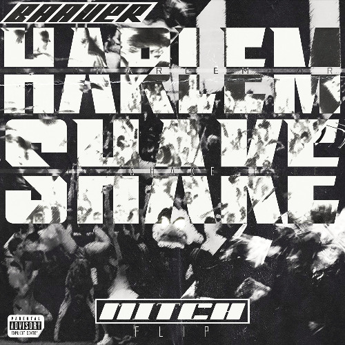Baauer - Harlem Shake (MITCH Flip)